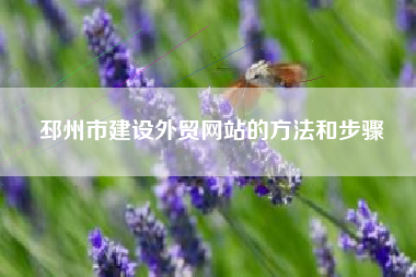 邳州市建设外贸网站的方法和步骤
