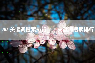 2021关键词搜索排行_2020关键词搜索排行