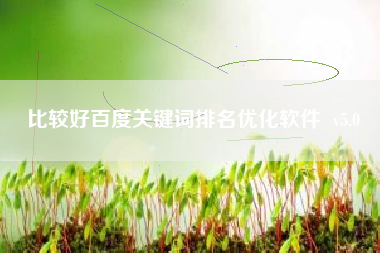 比较好百度关键词排名优化软件  v5.0