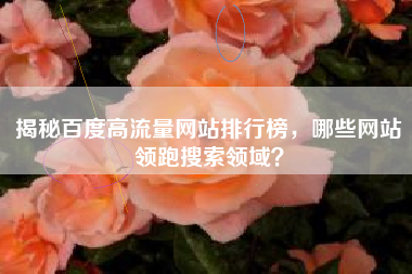 揭秘百度高流量网站排行榜，哪些网站领跑搜索领域？