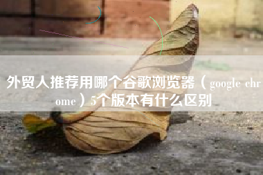 外贸人推荐用哪个谷歌浏览器（google chrome）5个版本有什么区别
