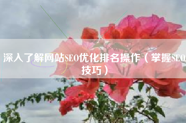 深入了解网站SEO优化排名操作（掌握SEO技巧）