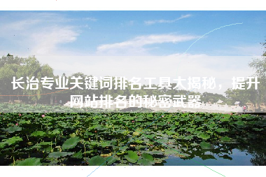 长治专业关键词排名工具大揭秘，提升网站排名的秘密武器