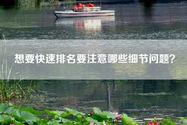 想要快速排名要注意哪些细节问题？