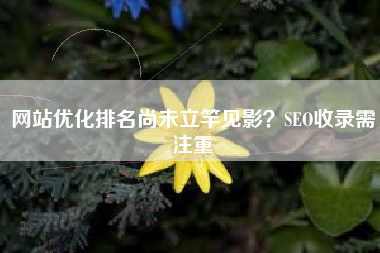 网站优化排名尚未立竿见影？SEO收录需注重
