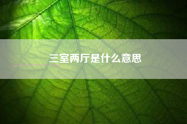 三室两厅是什么意思