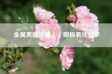 金属表面处理｜｜阳极氧化技术