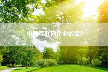 中国互联网企业数量？