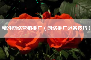 精准网络营销推广（网络推广必备技巧）