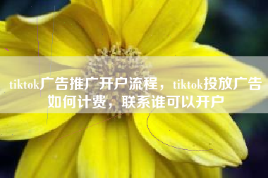 tiktok广告推广开户流程，tiktok投放广告如何计费，联系谁可以开户