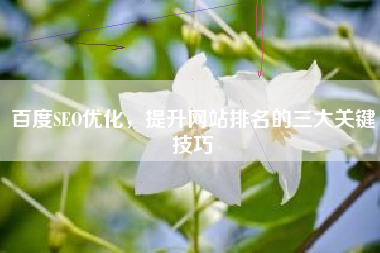 百度SEO优化，提升网站排名的三大关键技巧