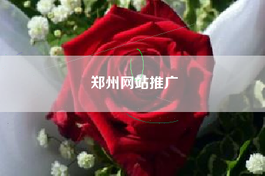 郑州网站推广