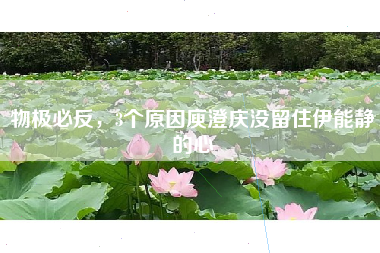 物极必反,3个原因庾澄庆没留住伊能静的心 物极必反,3个原因庾澄庆没留住伊能静的心