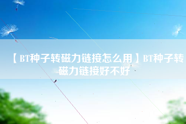 【BT种子转磁力链接怎么用】BT种子转磁力链接好不好
