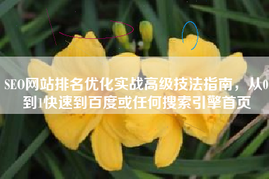 SEO网站排名优化实战高级技法指南，从0到1快速到百度或任何搜索引擎首页