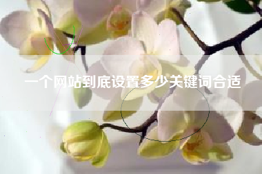 一个网站到底设置多少关键词合适