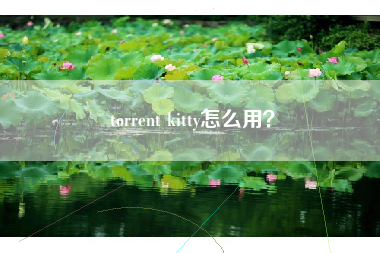 torrent kitty怎么用？