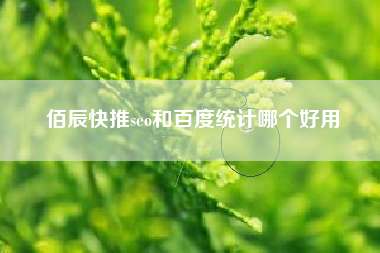 佰辰快推seo和百度统计哪个好用