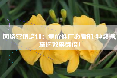 网络营销培训：竞价推广必看的3种数据,掌握效果翻倍！
