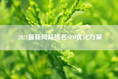 2021最新网站排名SEO优化方案