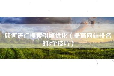 如何进行搜索引擎优化（提高网站排名的8个技巧）