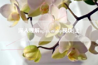 深入理解nginx realip模块[上]