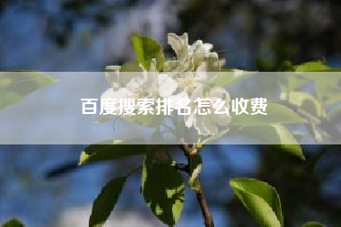 百度搜索排名怎么收费