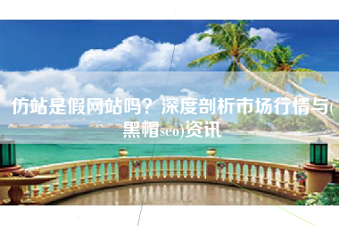 仿站是假网站吗？深度剖析市场行情与(黑帽seo)资讯