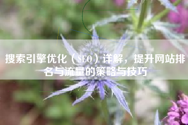 搜索引擎优化（SEO）详解，提升网站排名与流量的策略与技巧