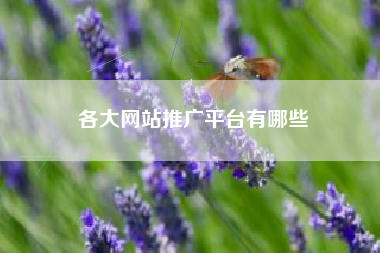各大网站推广平台有哪些