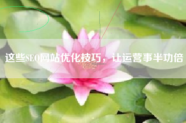 这些SEO网站优化技巧，让运营事半功倍