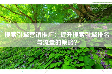搜索引擎营销推广：提升搜索引擎排名与流量的策略？