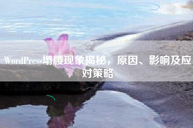 WordPress塌腰现象揭秘，原因、影响及应对策略