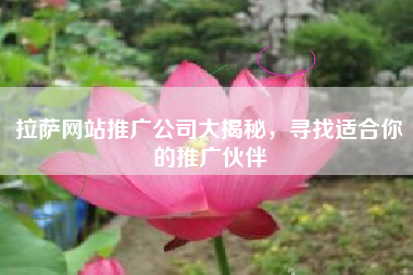 拉萨网站推广公司大揭秘，寻找适合你的推广伙伴