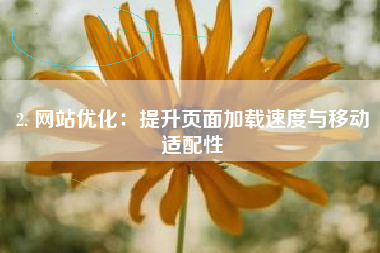 2. 网站优化：提升页面加载速度与移动适配性