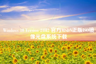 Windows 10 Version 21H2 官方MSDN正版ISO镜像光盘系统下载