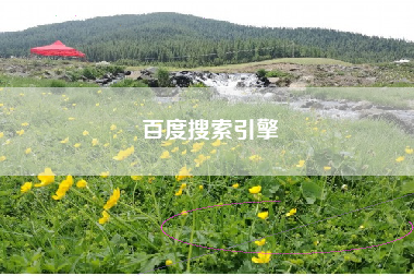 百度搜索引擎 百度搜索引擎