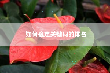 如何稳定关键词的排名