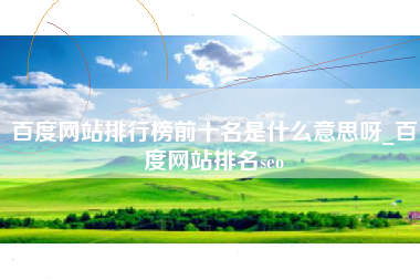 百度网站排行榜前十名是什么意思呀_百度网站排名seo