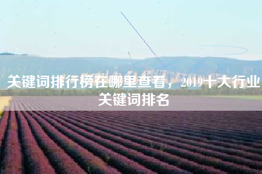 关键词排行榜在哪里查看，2019十大行业关键词排名