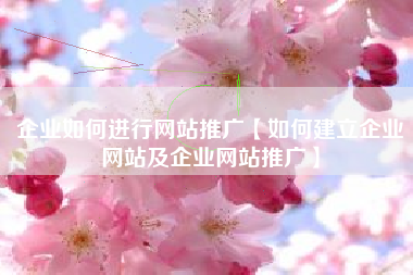 企业如何进行网站推广【如何建立企业网站及企业网站推广】