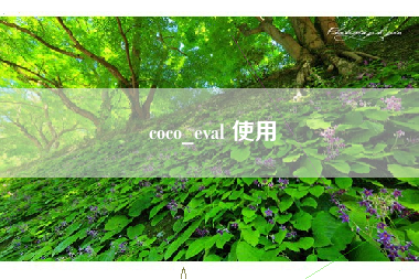coco_eval 使用