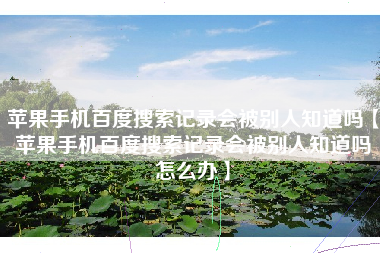 苹果手机百度搜索记录会被别人知道吗【苹果手机百度搜索记录会被别人知道吗怎么办】