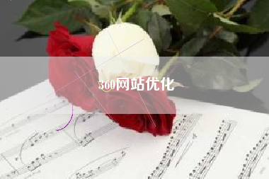 360网站优化