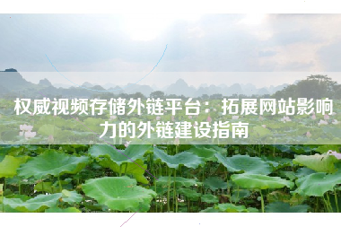 权威视频存储外链平台：拓展网站影响力的外链建设指南