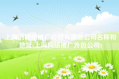上海的网络推广公司有哪些公司名称和地址(上海网络推广外包公司)