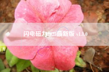 闪电磁力2025最新版 v1.1.0