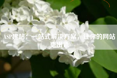 ASP建站：一站式解决方案，让你的网站更出色