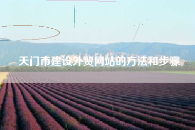 天门市建设外贸网站的方法和步骤