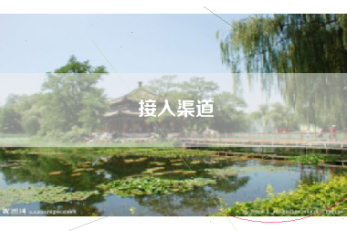 接入渠道